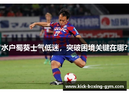 水户蜀葵士气低迷，突破困境关键在哪？